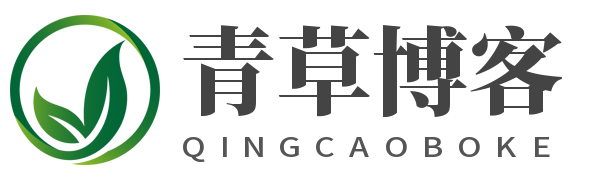 柔远科技独立站B027-极简个人博客自媒体类网站-